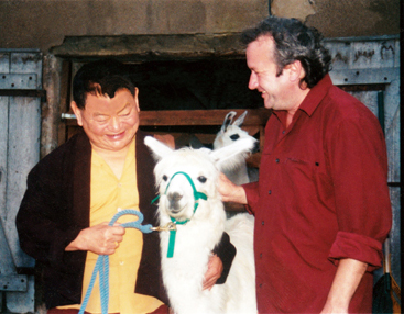 Les trois Lamas